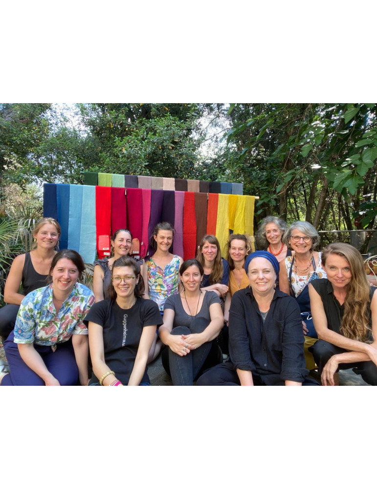 Les 157 couleurs de Paul Gout // Dominique Cardon & Iris Bremaud