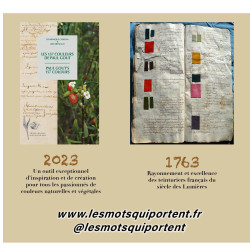 Les 157 couleurs de Paul Gout // Dominique Cardon & Iris Bremaud
