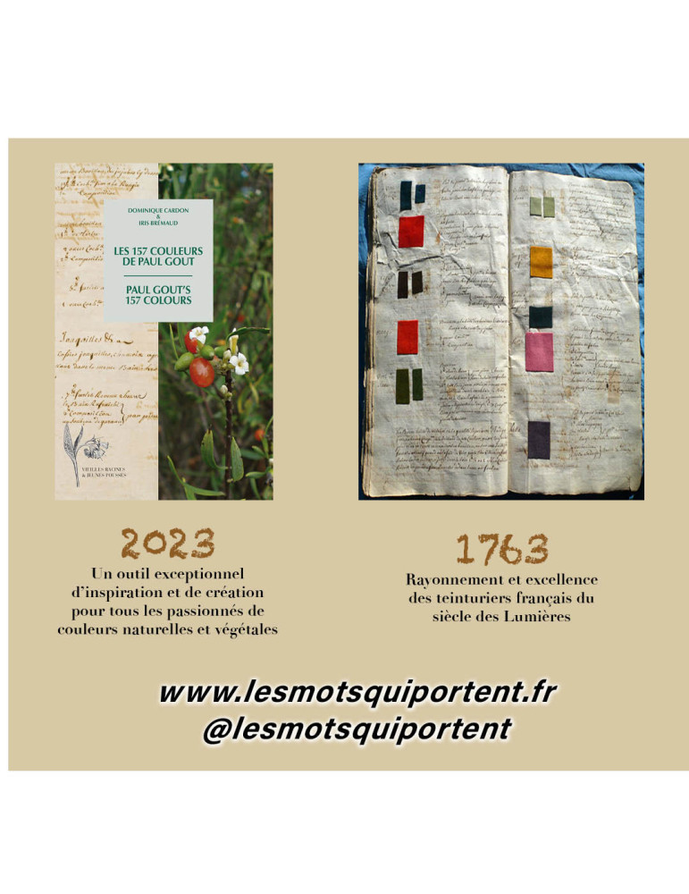 Les 157 couleurs de Paul Gout // Dominique Cardon & Iris Bremaud