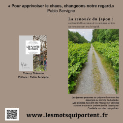 Les Plantes du chaos // Thierry Thevenin 