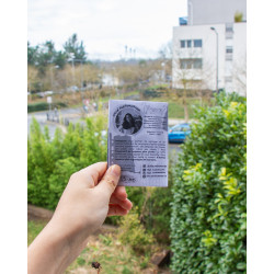 Milluzine 1 - 4 alternatives à Instagram quand on est artiste