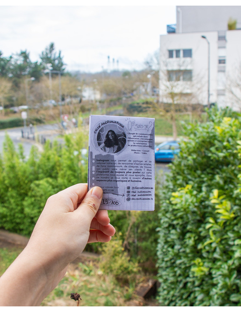 Milluzine 1 - 4 alternatives à Instagram quand on est artiste