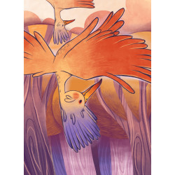 La Forêt enchantée : 3 tomes