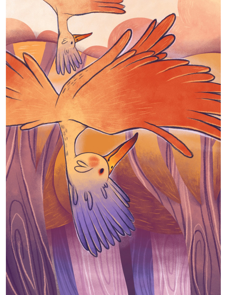 La Forêt enchantée : 3 tomes