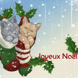 Carte de voeux Joyeux Noël de Pomme de Bidouille