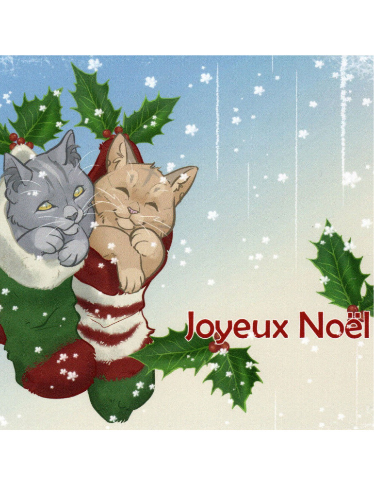Carte de voeux Joyeux Noël de Pomme de Bidouille