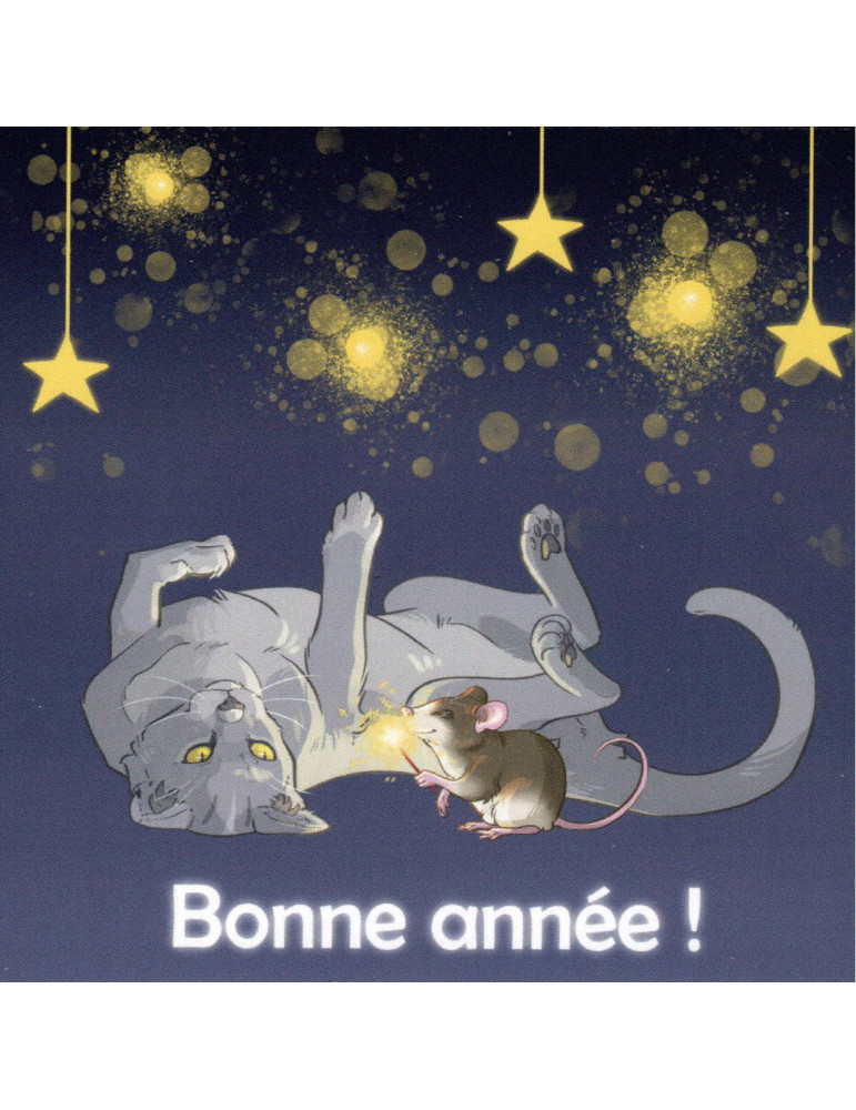 Carte de voeux Bonne année de Pomme de Bidouille