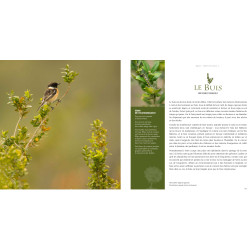 REMARQUABLES, des Arbres, des Femmes et des Hommes en Ardèche