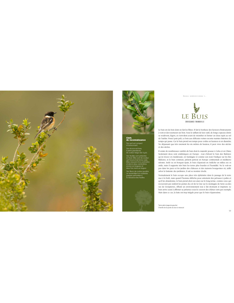 REMARQUABLES, des Arbres, des Femmes et des Hommes en Ardèche