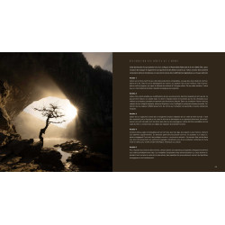 REMARQUABLES, des Arbres, des Femmes et des Hommes en Ardèche