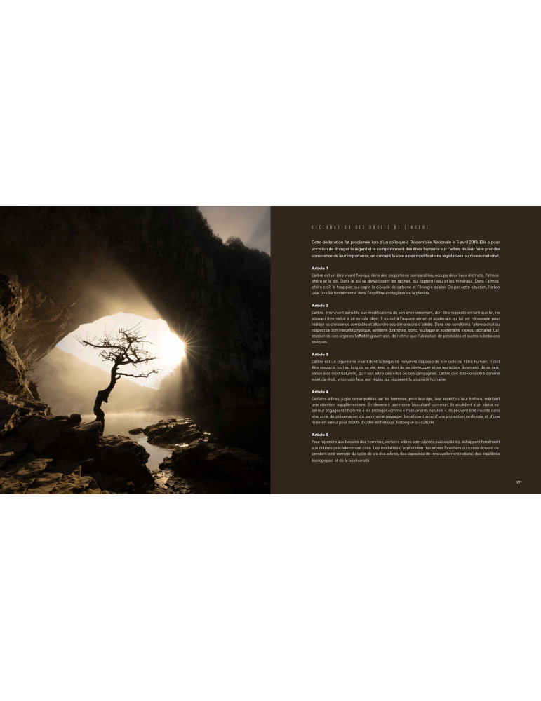 REMARQUABLES, des Arbres, des Femmes et des Hommes en Ardèche