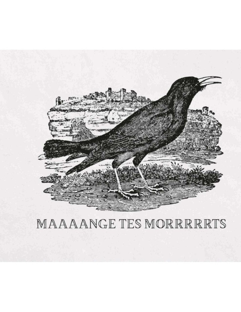 Effin Birds 2, Les putains d'oiseaux reviennent