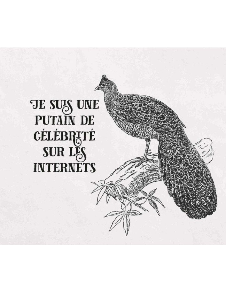 Effin Birds 2, Les putains d'oiseaux reviennent