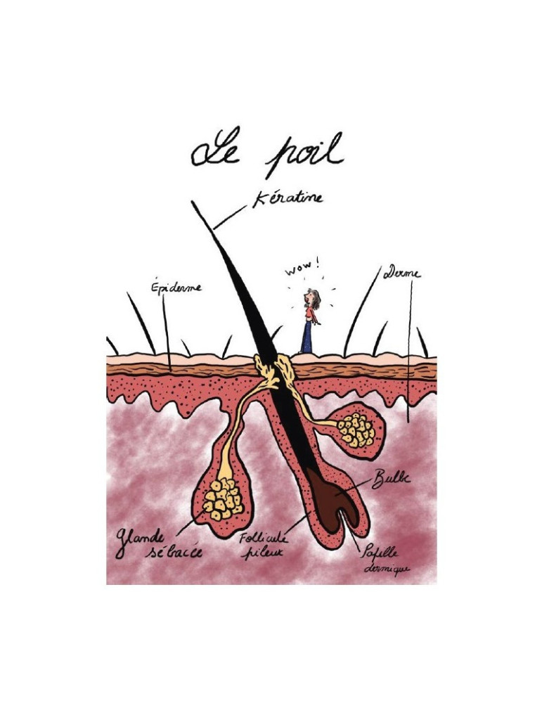Les poils de la colère