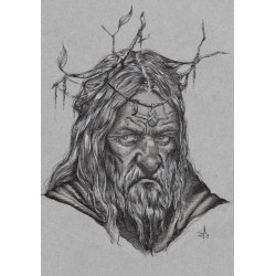 le druide