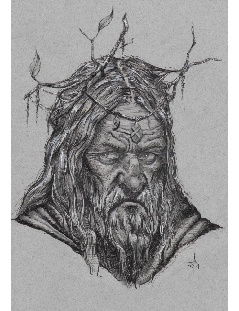 le druide le druide