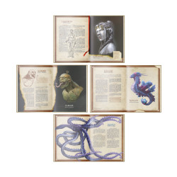 Bestiaire Fantasique Dalgotem, Vol 1 : Mes Premiers Voyages