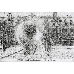 Renard Polaire II