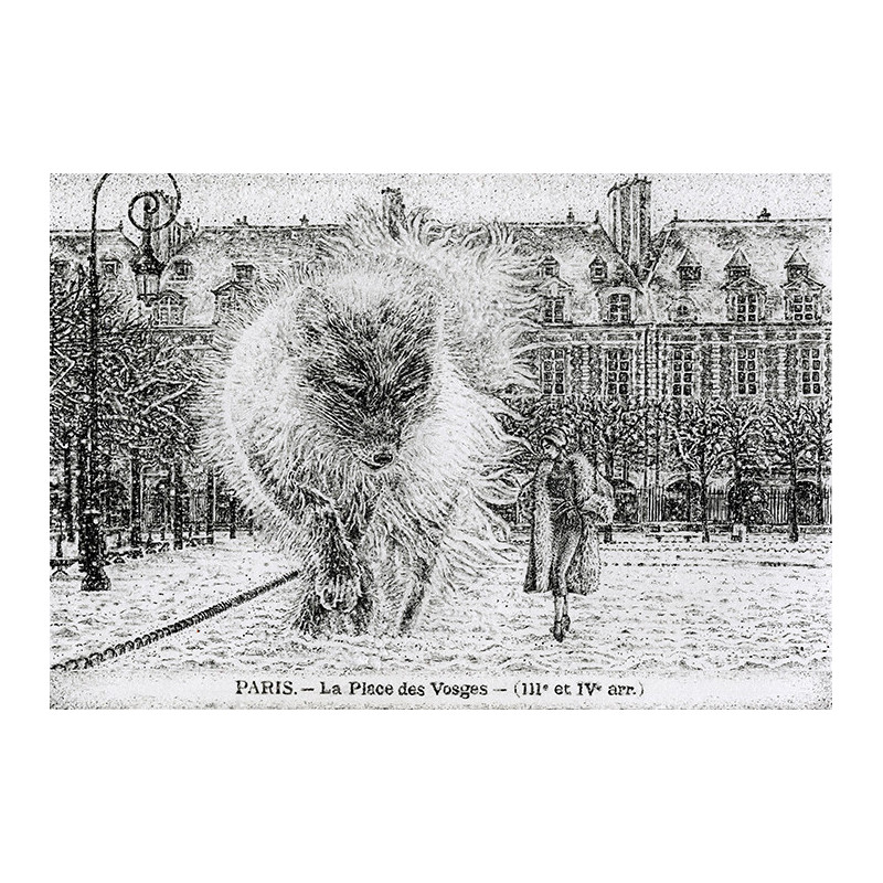 Renard Polaire II