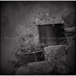 Les pots perdus (2016)