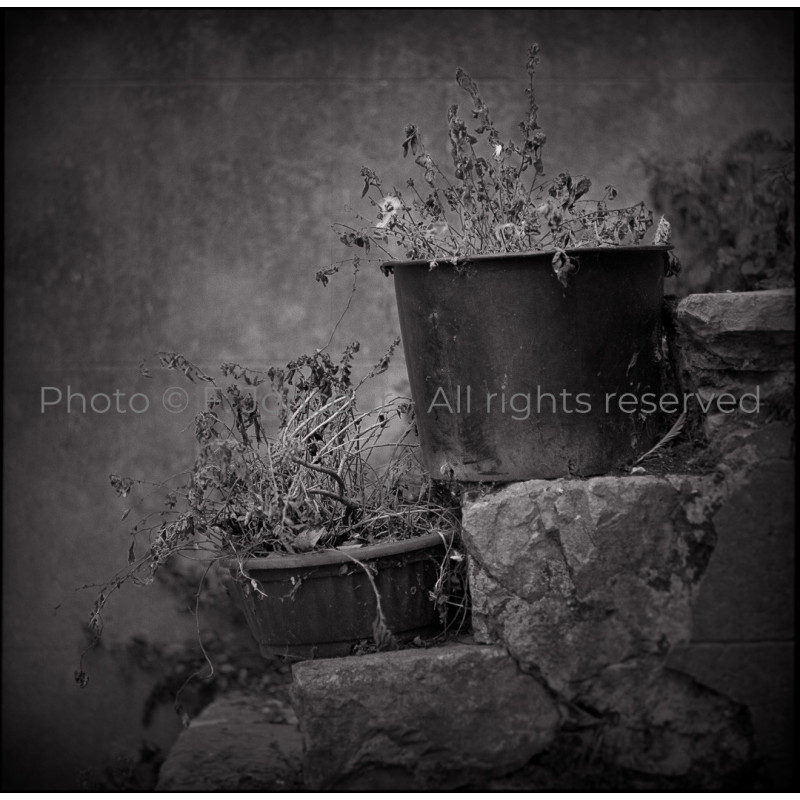 Les pots perdus (2016)