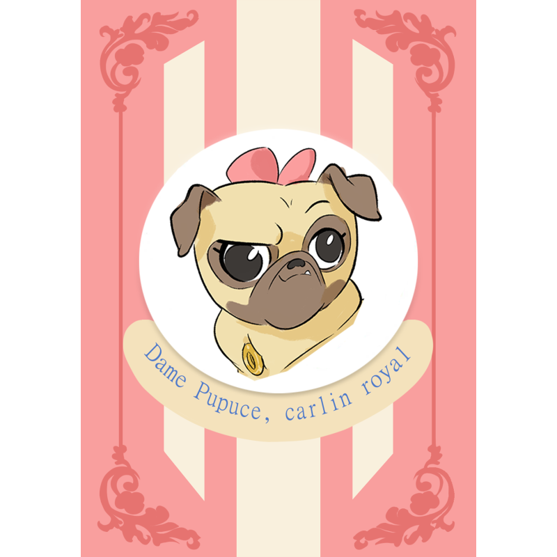 Cartes postales La Cour à poils