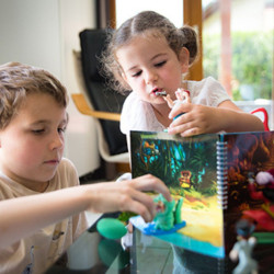 Livre à Jouer Pirates !