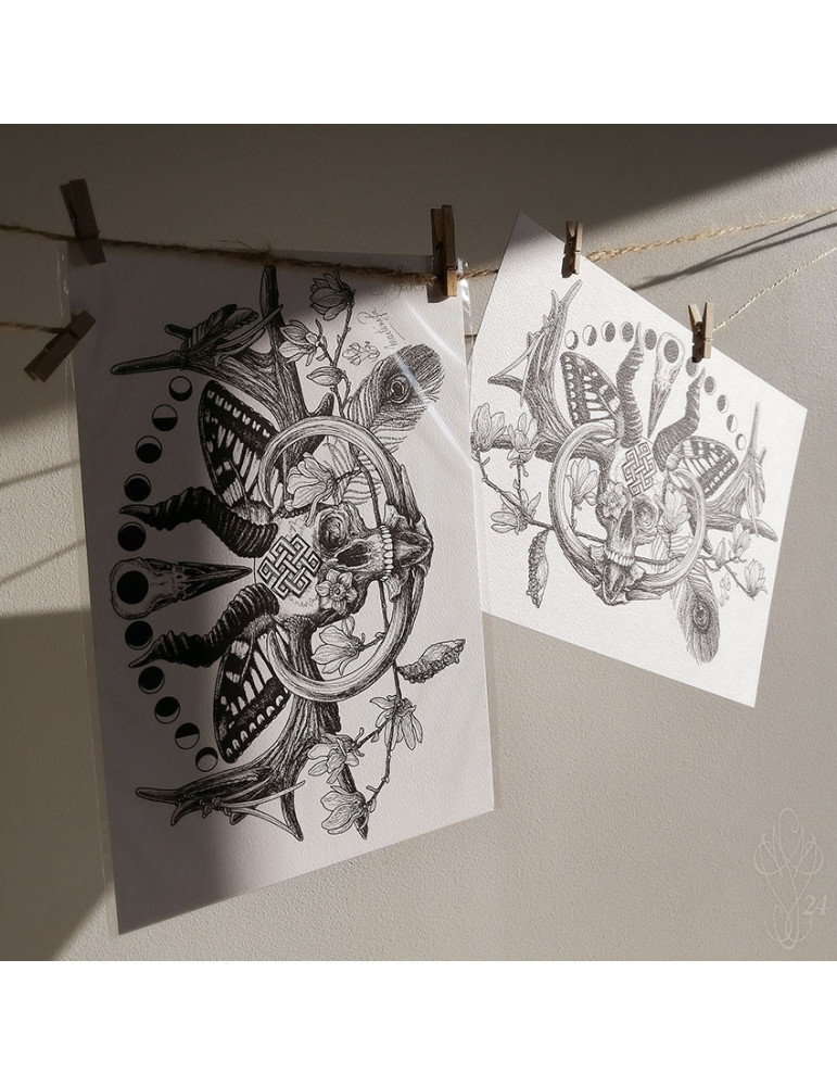 Tirage papier d'un dessin de Martinefa "RENATUS" (Du latin "Renaître") - 21 x 29,5 cm (A4)