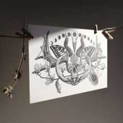 Tirage papier d'un dessin de Martinefa "RENATUS" (Du latin "Renaître") - 21 x 29,5 cm (A4)