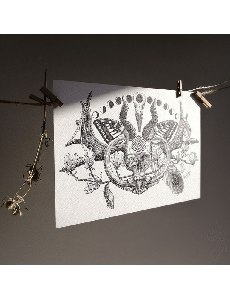 Tirage papier d'un dessin de Martinefa "RENATUS" (Du latin "Renaître") - 21 x 29,5 cm (A4)