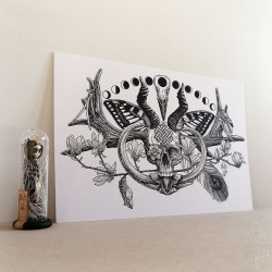 Tirage papier d'un dessin de Martinefa "RENATUS" (Du latin "Renaître") - 21 x 29,5 cm (A4)