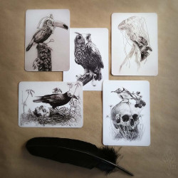 Lot de cinq cartes postales Martinefa "DARK BIRDS" - 14,8 x 10,5 cm