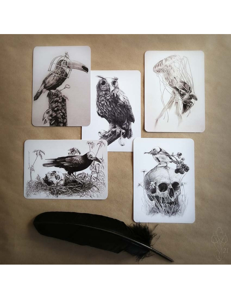 Lot de cinq cartes postales Martinefa "DARK BIRDS" - 14,8 x 10,5 cm