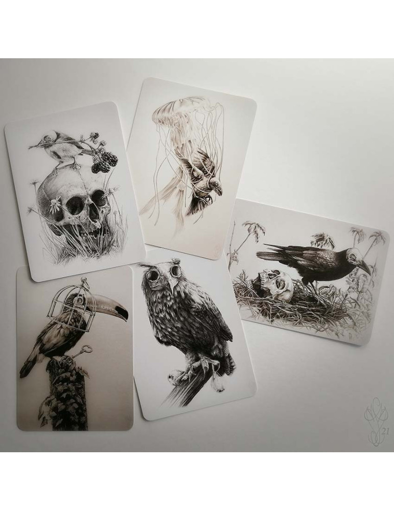 Lot de cinq cartes postales Martinefa "DARK BIRDS" - 14,8 x 10,5 cm