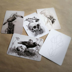 Lot de cinq cartes postales Martinefa "DARK BIRDS" - 14,8 x 10,5 cm