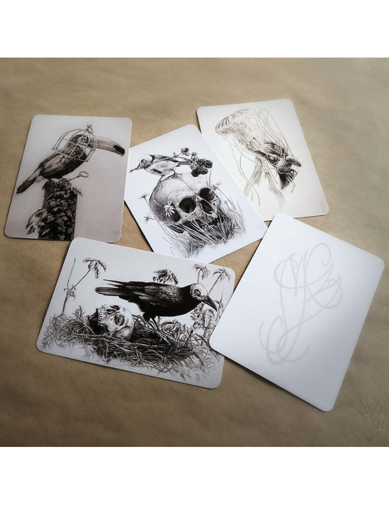 Lot de cinq cartes postales Martinefa "DARK BIRDS" - 14,8 x 10,5 cm