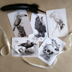 Lot de cinq cartes postales Martinefa "DARK BIRDS" - 14,8 x 10,5 cm