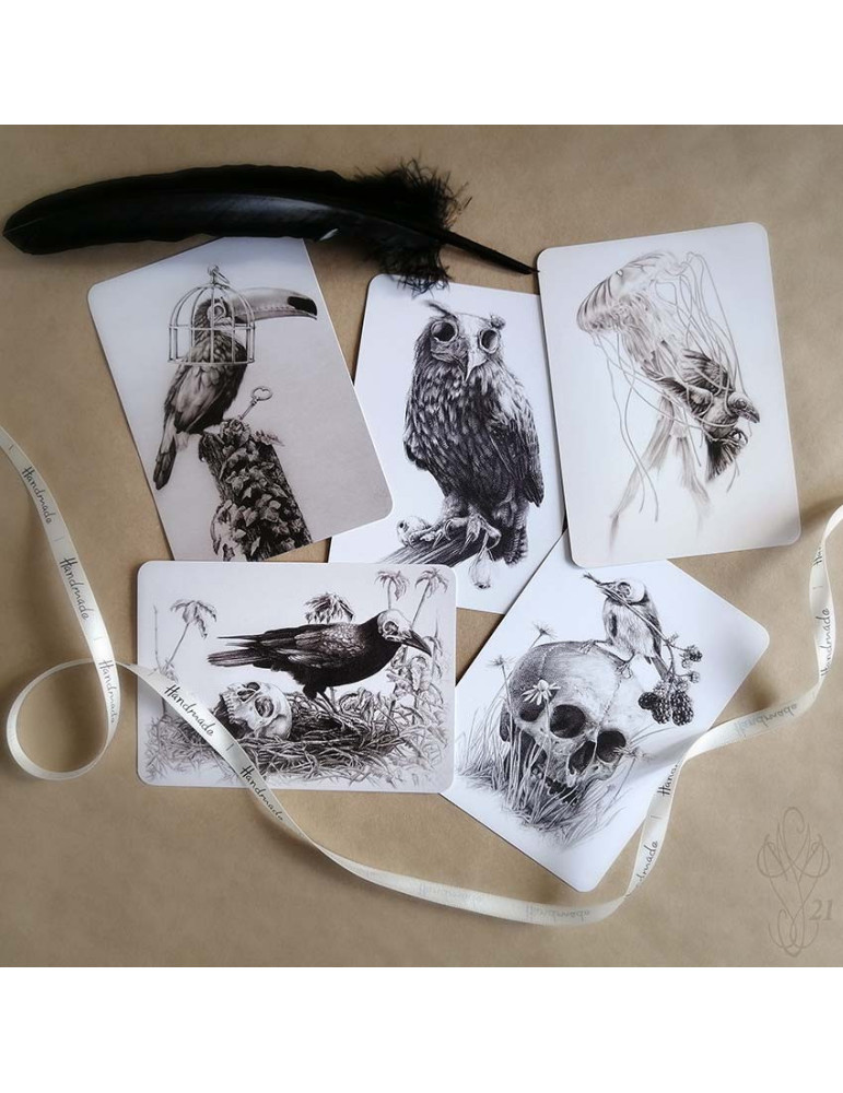 Lot de cinq cartes postales Martinefa "DARK BIRDS" - 14,8 x 10,5 cm