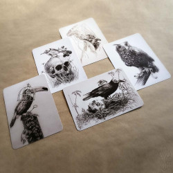 Lot de cinq cartes postales Martinefa "DARK BIRDS" - 14,8 x 10,5 cm