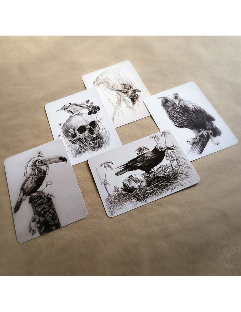 Lot de cinq cartes postales Martinefa "DARK BIRDS" - 14,8 x 10,5 cm
