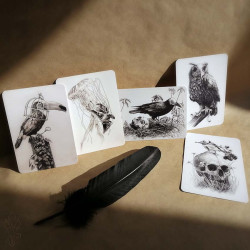Lot de cinq cartes postales Martinefa "DARK BIRDS" - 14,8 x 10,5 cm