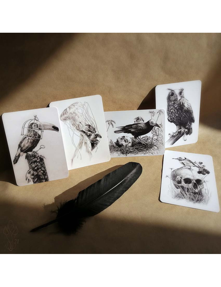 Lot de cinq cartes postales Martinefa "DARK BIRDS" - 14,8 x 10,5 cm
