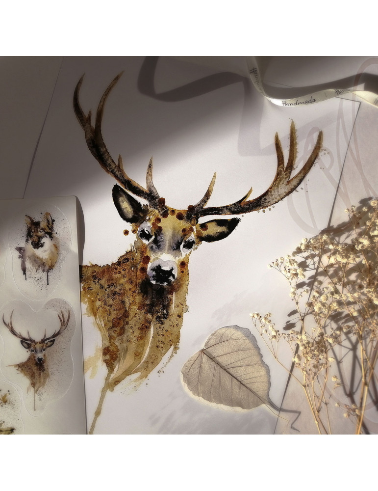 Poster d'une aquarelle de Martinefa "DEER" - 29,7 x 42 cm (A3)