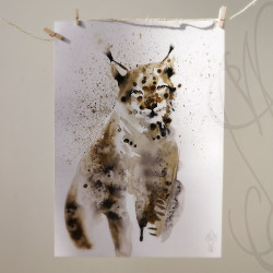 Poster d'une aquarelle de Martinefa "LYNX" - 29,7 x 42 cm (A3)