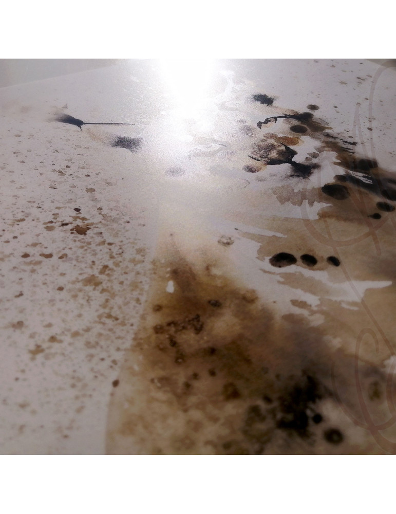 Poster d'une aquarelle de Martinefa "LYNX" - 29,7 x 42 cm (A3)