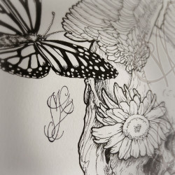 Dessin original à l'encre - "PUPIL DEW" - Pièce unique