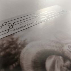 Carte postale grand format "ZOOMORPHE PALÉOGRAPHE", avec vernis sélectif "effet 3D" - 14,8 x 21 cm (A5)