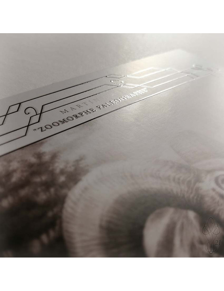 Carte postale grand format "ZOOMORPHE PALÉOGRAPHE", avec vernis sélectif "effet 3D" - 14,8 x 21 cm (A5)