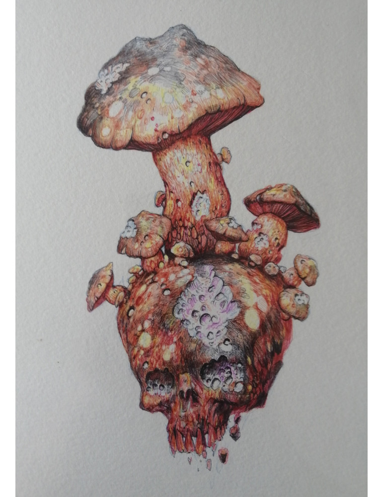 mushroom skull mushroom skull