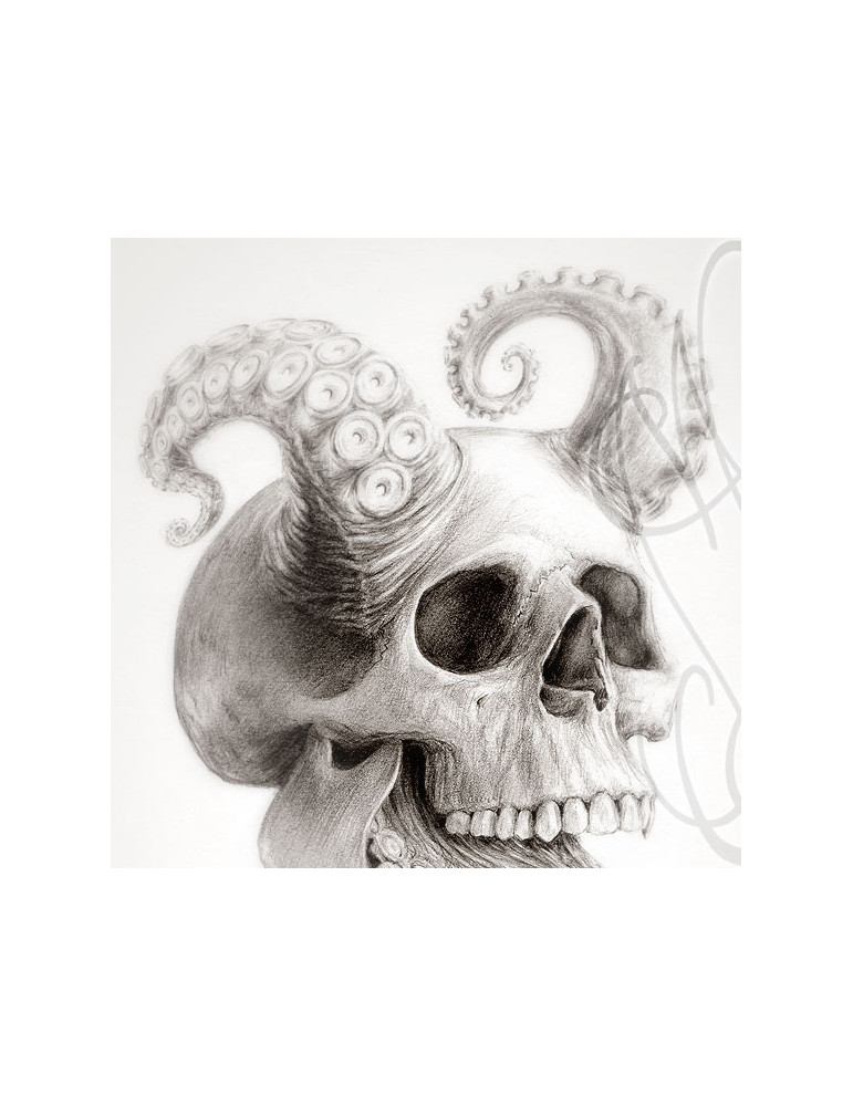 Dessin original de Martinefa - "OCTOSKULL"